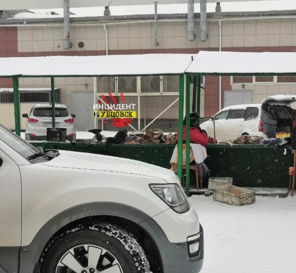 На рубцовском рынке птицы едят мясные деликатесы На рубцовском рынке птицы едят мясные деликатесы