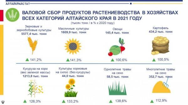 Итоги уборки сельскохозяйственных культур в Алтайском крае Итоги уборки сельскохозяйственных культур в Алтайском крае