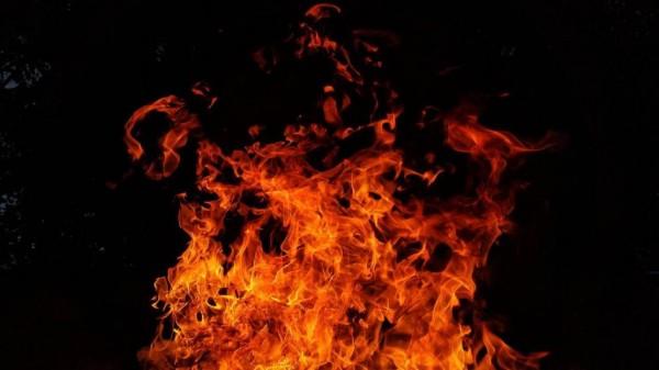 Число природных пожаров увеличилось в Алтайском крае Число природных пожаров увеличилось в Алтайском крае
