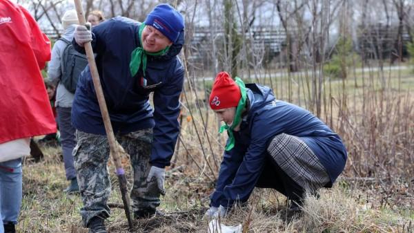 В Алтайском крае высадят порядка 6 тысяч кедров