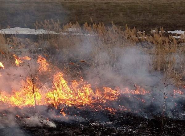 ПАЛ СУХОЙ ТРАВЫ ПАЛ СУХОЙ ТРАВЫ