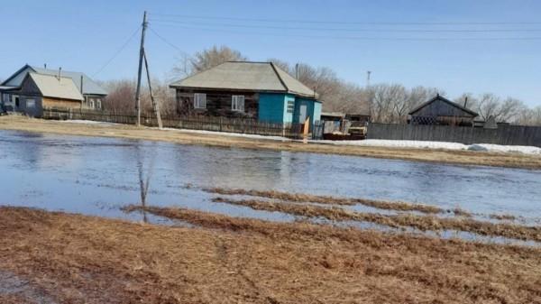 Талые воды затопили поселок в Рубцовском районе Талые воды затопили поселок в Рубцовском районе