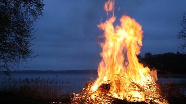 Пожароопасный сезон объявлен в Алтайском крае Пожароопасный сезон объявлен в Алтайском крае