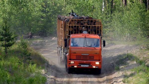 Депутаты АКЗС разбирались в проблеме дороговизны дров в Косихинском районе Депутаты АКЗС разбирались в проблеме дороговизны дров в Косихинском районе