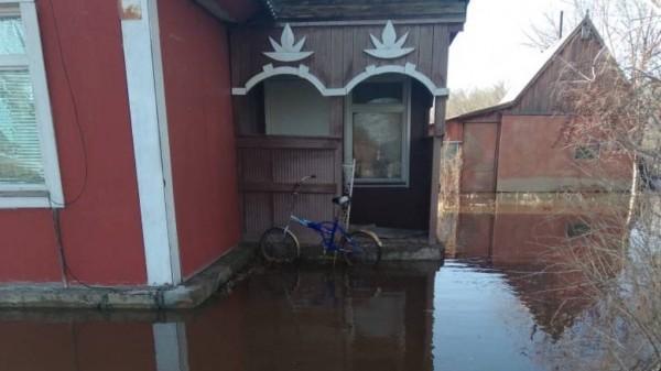 Талые воды затопили поселок в Рубцовском районе Талые воды затопили поселок в Рубцовском районе