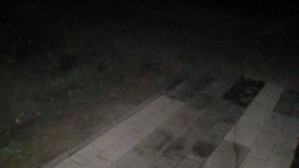 Барнаульцы пожаловались на выключенные фонари в Мизюлинской роще Барнаульцы пожаловались на выключенные фонари в Мизюлинской роще