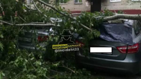 Сильный ветер в Барнауле повредил припаркованные у дома автомобили