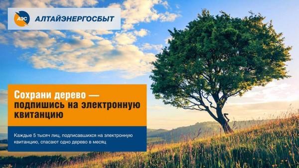 &laquo;АЛТАЙЭНЕРГОСБЫТ&raquo;: НА 19% ВЫРОСЛО ЧИСЛО ПОЛУЧАТЕЛЕЙ ОНЛАЙН-КВИТАНЦИЙ