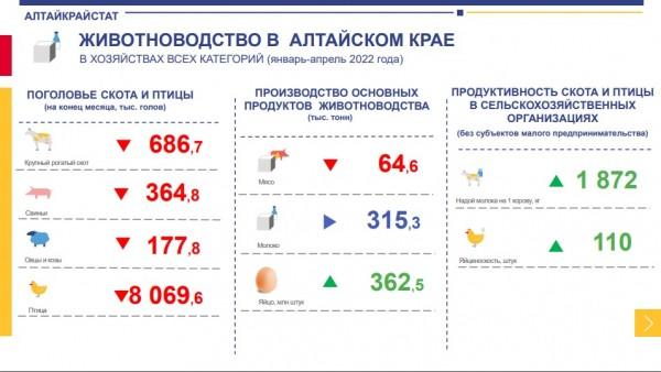 В Алтайском крае снизилось поголовье сельскохозяйственных животных