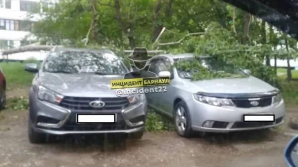 Сильный ветер в Барнауле повредил припаркованные у дома автомобили