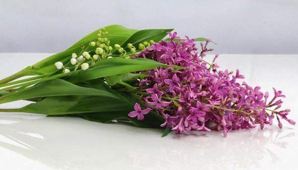 26 мая в Алтайском крае ожидается зной и дожди в предгорьях 26 мая в Алтайском крае ожидается зной и дожди в предгорьях