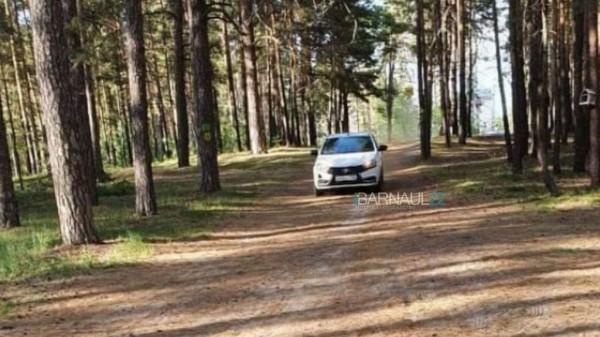 Барнаульцы жалуются в соцсетях на обнаглевших автолюбителей