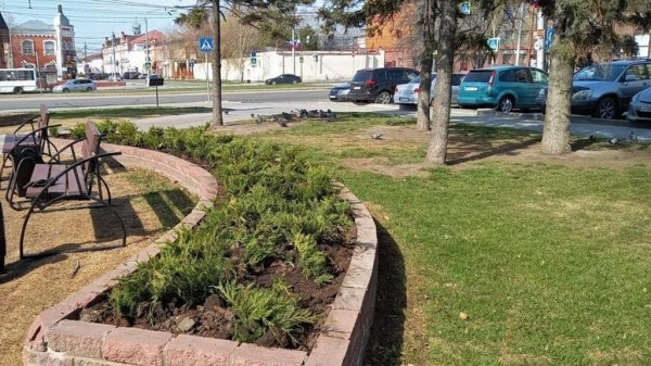 В Барнауле высадили более 1,5 тысячи многолетних растений