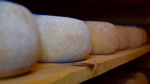 14 мая в Барнауле пройдет завершающая сезон продуктовая ярмарка 14 мая в Барнауле пройдет завершающая сезон продуктовая ярмарка