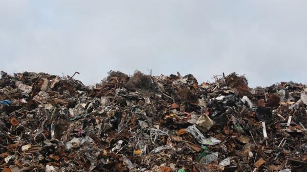 Алтайские ученые предложили рекультивировать мусорные полигоны с помощью илистых отложений сточных вод