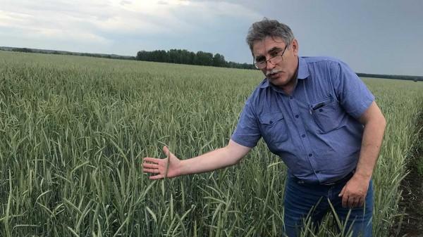 Директор предприятия из Новоберёзовки ищет свежие кадры
