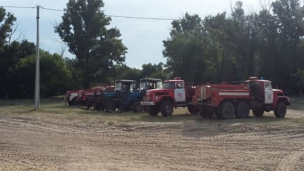 Около 350 человек заняты ликвидацией лесных пожаров в Алтайском крае