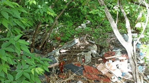 Барнаульцы пожаловались на свалку, которая образовалась рядом с озером на Гущина Барнаульцы пожаловались на свалку, которая образовалась рядом с озером на Гущина