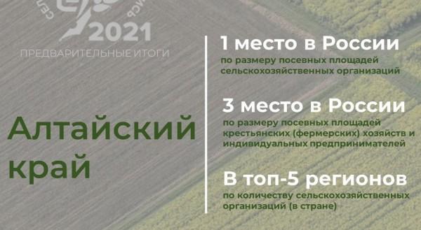 Алтайский край занял первое место в России по посевным площадям сельхозорганизаций Алтайский край занял первое место в России по посевным площадям сельхозорганизаций