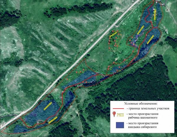 В Солонешенском районе Алтайского края запретили добычу золота В Солонешенском районе Алтайского края запретили добычу золота