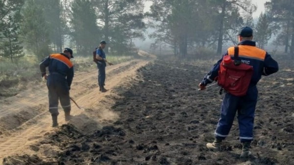 Около 350 человек заняты ликвидацией лесных пожаров в Алтайском крае