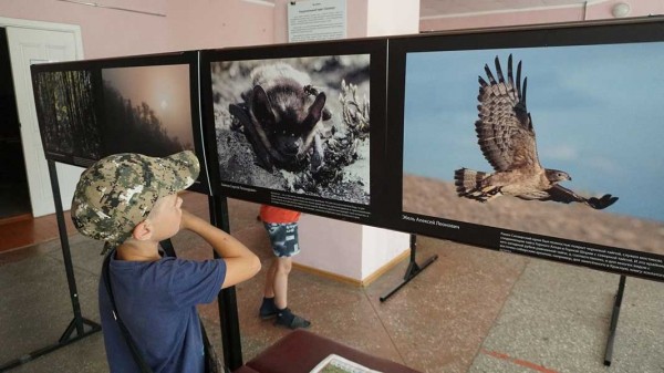 В Ельцовском районе прошел межрайонный экологический фестиваль «Душа Салаира» В Ельцовском районе прошел межрайонный экологический фестиваль «Душа Салаира»