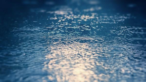 Из-за дождей в Оби остановилось снижение уровня воды Из-за дождей в Оби остановилось снижение уровня воды