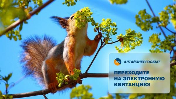 «Алтайэнергосбыт»: электронная квитанция – это быстро, удобно, надёжно «Алтайэнергосбыт»: электронная квитанция – это быстро, удобно, надёжно