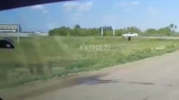 В Алтайском крае автомобиль с детьми слетел с трассы в кювет