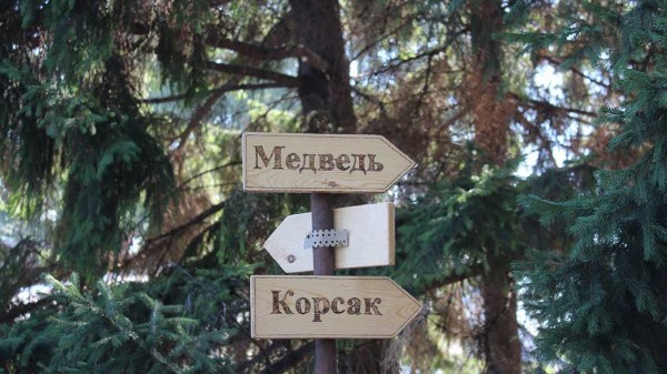 В Рубцовске проложат «Экологическую тропу» В Рубцовске проложат «Экологическую тропу»