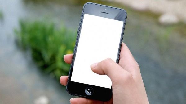 Сервис &laquo;Лапша&raquo; разобрал популярные фейки об обезьяньей оспе