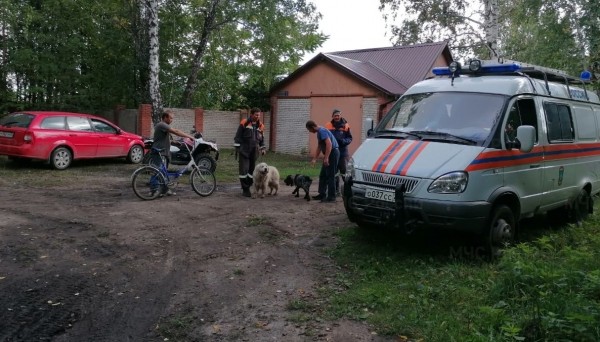 Поход в лес без происшествий Поход в лес без происшествий
