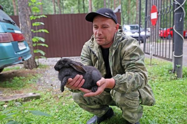 На одной из алтайских турбаз гостей ждет целое стадо пушистых кроликов На одной из алтайских турбаз гостей ждет целое стадо пушистых кроликов