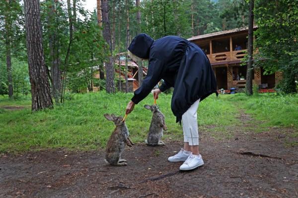 На одной из алтайских турбаз гостей ждет целое стадо пушистых кроликов На одной из алтайских турбаз гостей ждет целое стадо пушистых кроликов
