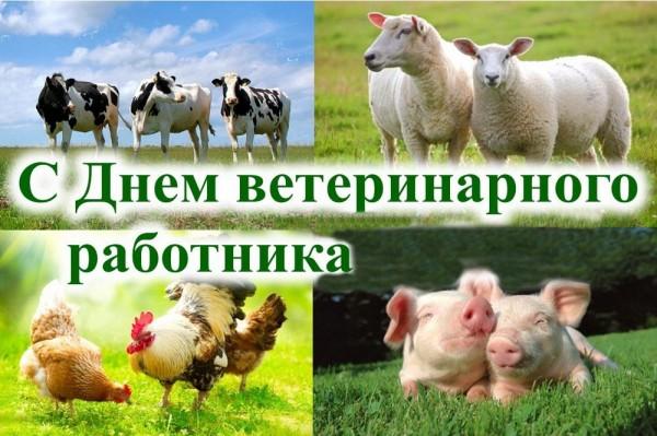 Глава города Людмила Подгора и председатель городского Собрания депутатов Сергей Кондратов поздравили жителей Славгорода с Днем ветеринарного работника