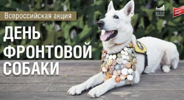 Алтайский край присоединился ко Всероссийской акции «День фронтовой собаки» Алтайский край присоединился ко Всероссийской акции «День фронтовой собаки»