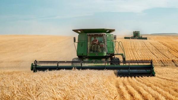 В Алтайском крае убрано 11% зерновых и зернобобовых культур