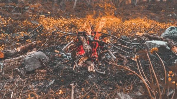 В Алтайском крае ожидается период повышенной пожарной опасности В Алтайском крае ожидается период повышенной пожарной опасности