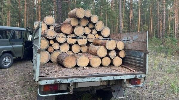 Житель Рубцовска незаконно рубил лес Житель Рубцовска незаконно рубил лес