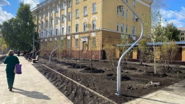 В барнаульском сквере Медиков высаживают сотню деревьев В барнаульском сквере Медиков высаживают сотню деревьев