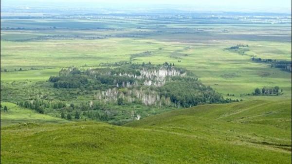 Новый природный памятник появился в Алтайском крае Новый природный памятник появился в Алтайском крае