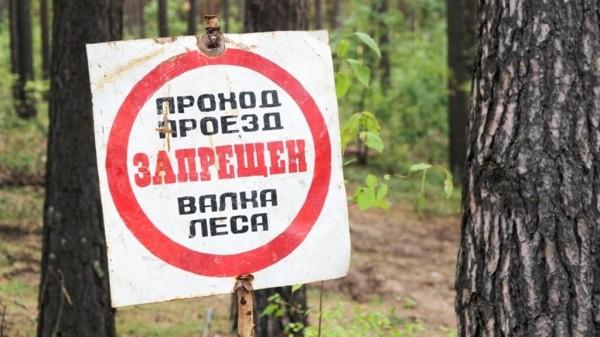 В Алтайском крае предложили изменить порядок оценки потребности населения в льготной древесине В Алтайском крае предложили изменить порядок оценки потребности населения в льготной древесине