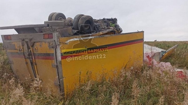 В соцсетях появились кадры смертельной аварии в Поспелихинском районе В соцсетях появились кадры смертельной аварии в Поспелихинском районе