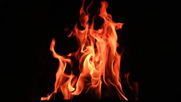 На трассе в сторону Заринска загорелась «Газель» На трассе в сторону Заринска загорелась «Газель»
