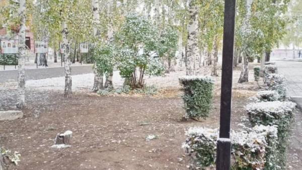 В Алтайском крае выпал первый снег