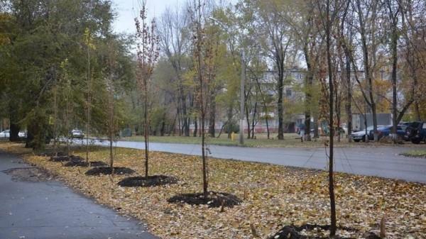 На аллее Целинников в Барнауле появились необычные клумбы На аллее Целинников в Барнауле появились необычные клумбы