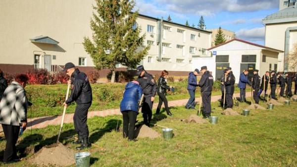 У барнаульского юридического института высадили молодые деревья У барнаульского юридического института высадили молодые деревья