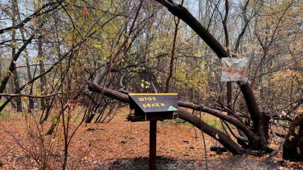 В барнаульском парке «Юбилейном» обновили Штаб белки В барнаульском парке «Юбилейном» обновили Штаб белки