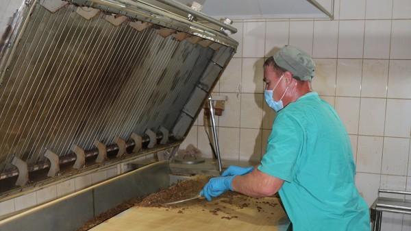 Предприимчивые физики производят лекарственные растения в Алтайском крае