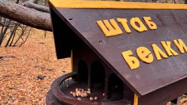 В барнаульском парке «Юбилейном» обновили Штаб белки В барнаульском парке «Юбилейном» обновили Штаб белки